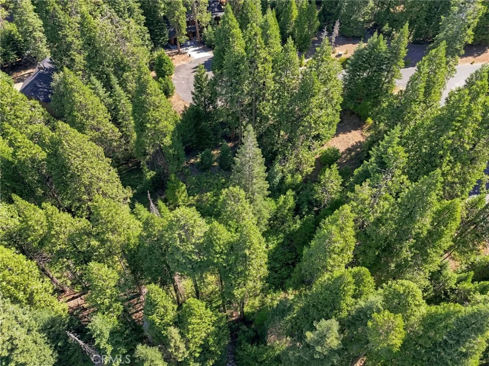 39730 Fox Glove Lane Shaver Lake, CA 93664