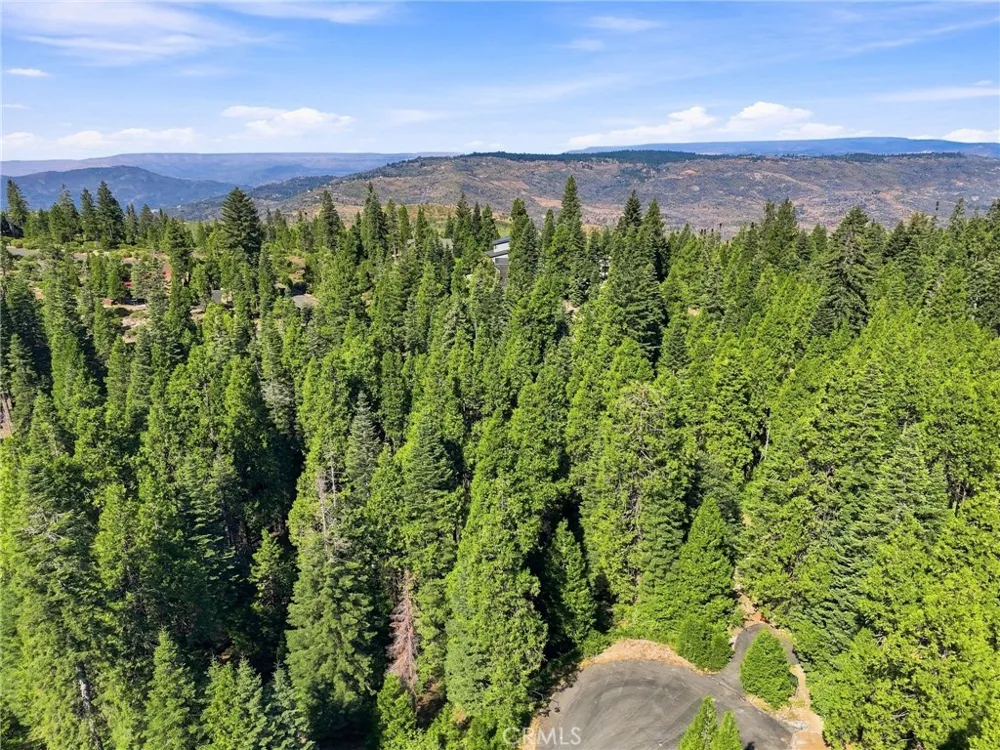 39730 Fox Glove Lane Shaver Lake, CA 93664