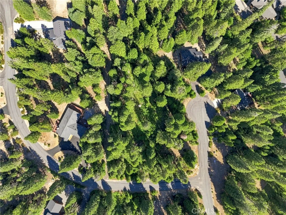 39730 Fox Glove Lane Shaver Lake, CA 93664