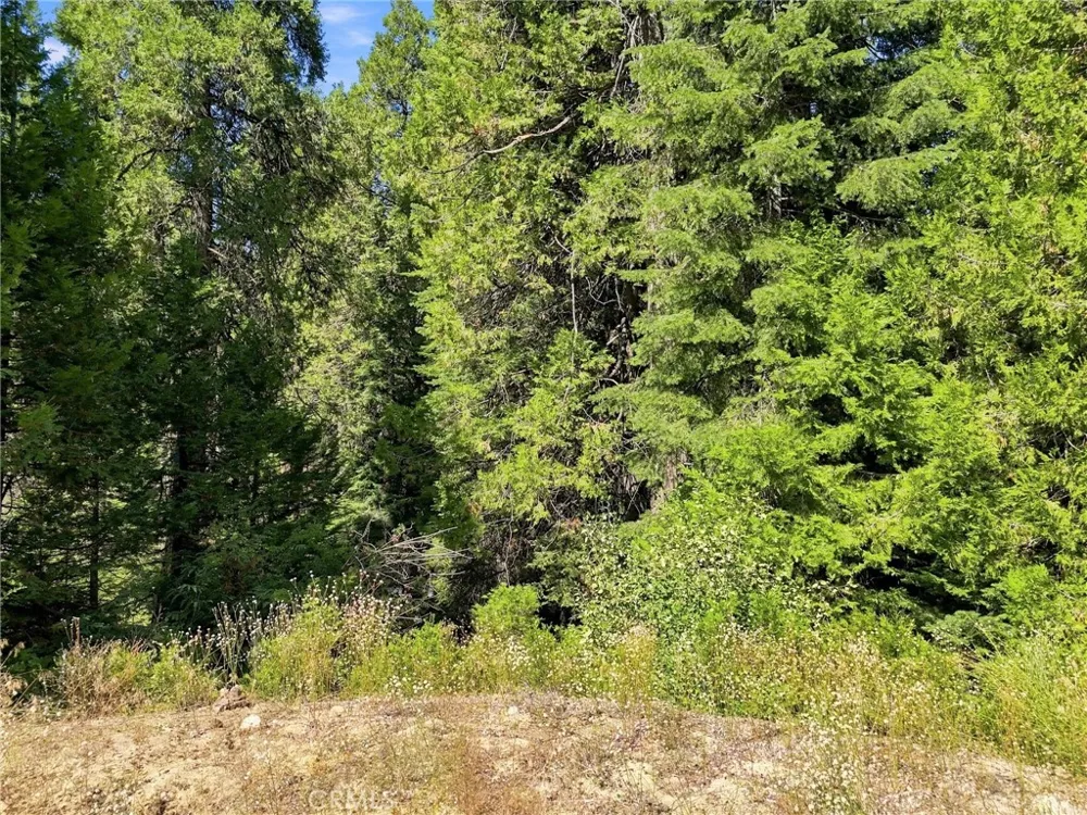 39730 Fox Glove Lane Shaver Lake, CA 93664