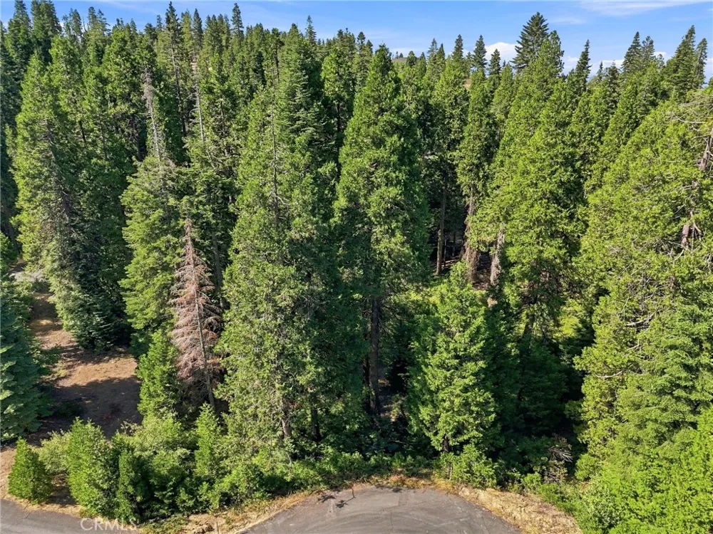 39730 Fox Glove Lane Shaver Lake, CA 93664