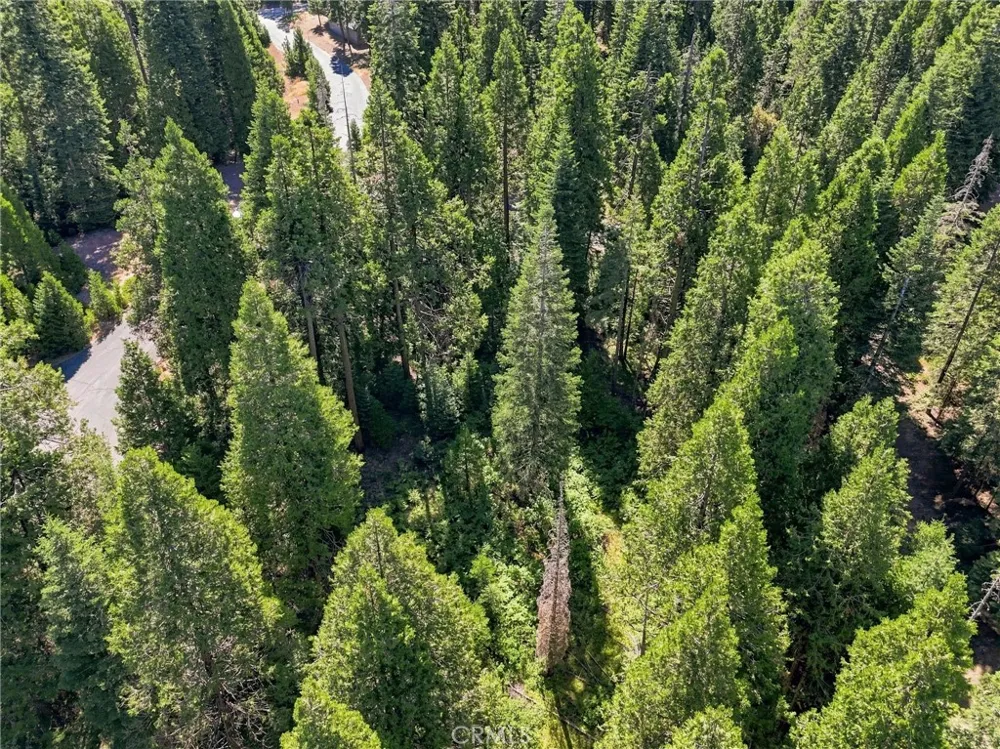 39730 Fox Glove Lane Shaver Lake, CA 93664