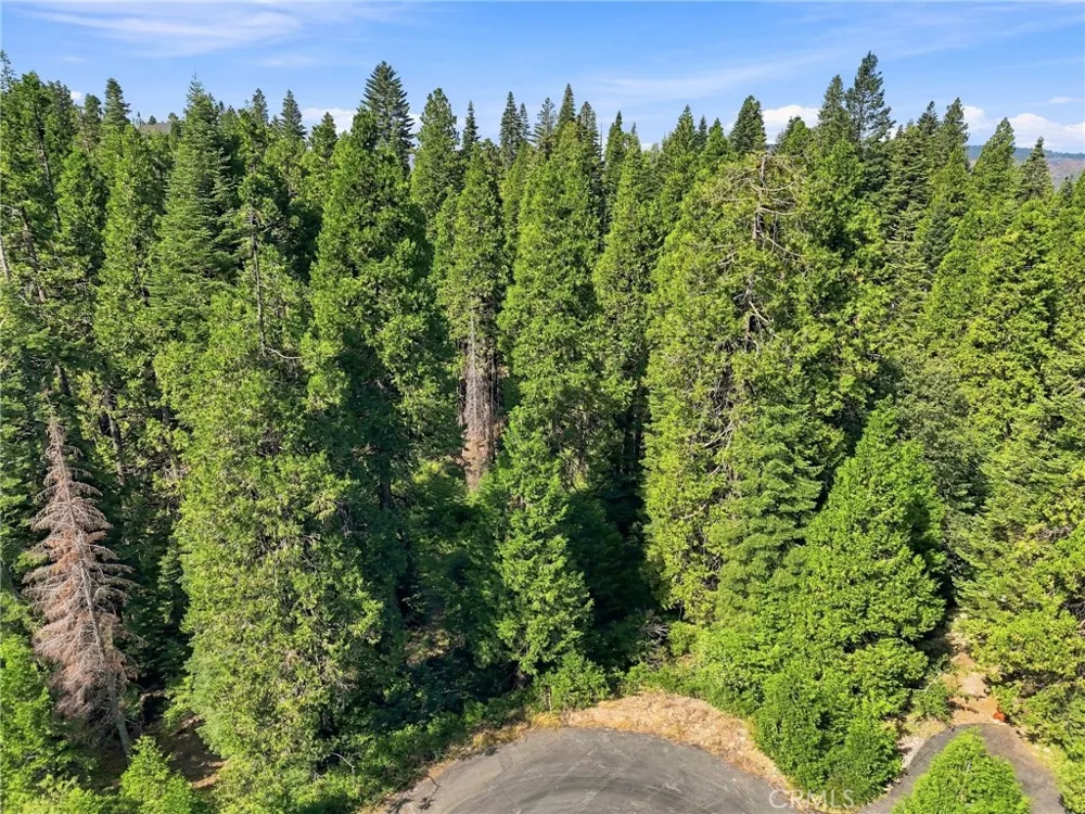 39730 Fox Glove Lane Shaver Lake, CA 93664