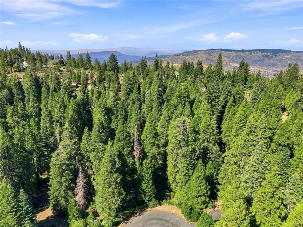 39730 Fox Glove Lane Shaver Lake, CA 93664