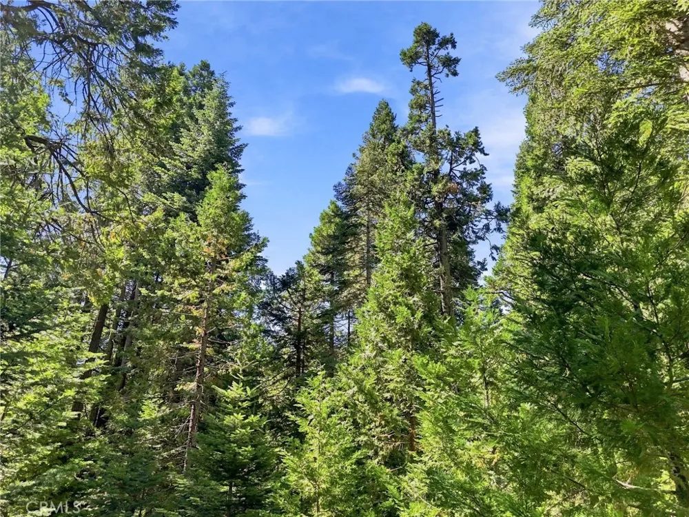 39730 Fox Glove Lane Shaver Lake, CA 93664