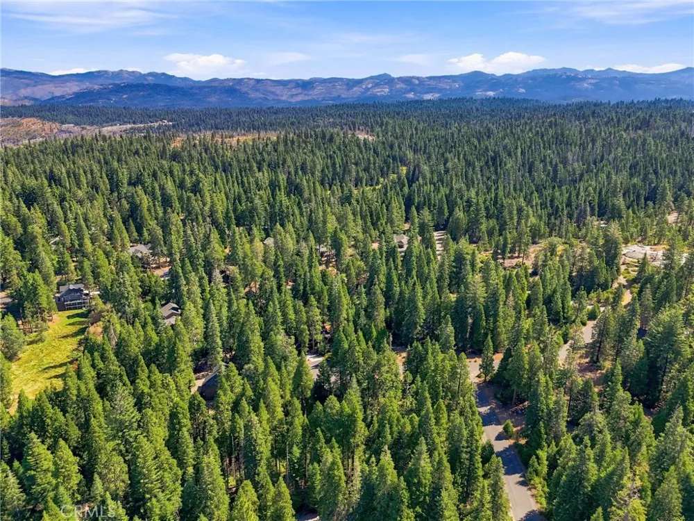 39730 Fox Glove Lane Shaver Lake, CA 93664