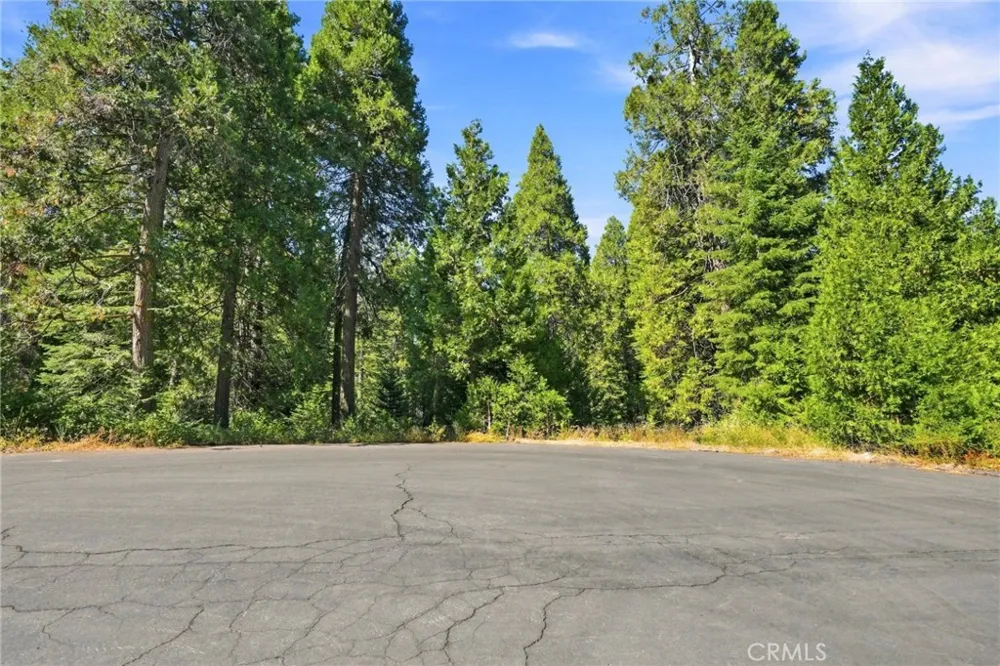 39730 Fox Glove Lane Shaver Lake, CA 93664