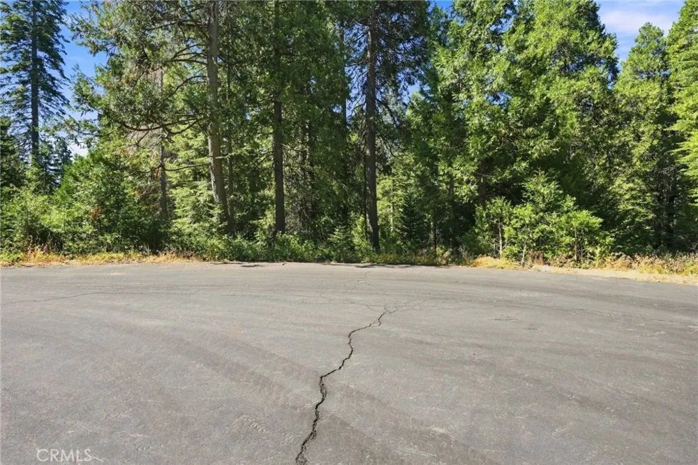 39730 Fox Glove Lane Shaver Lake, CA 93664