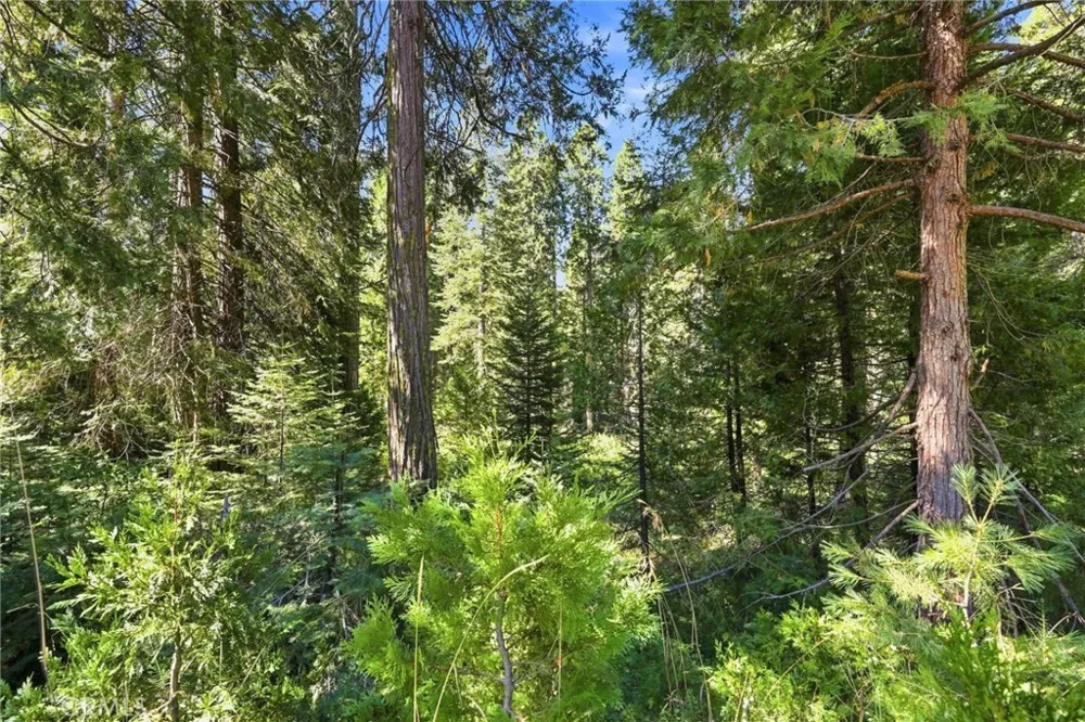 39730 Fox Glove Lane Shaver Lake, CA 93664