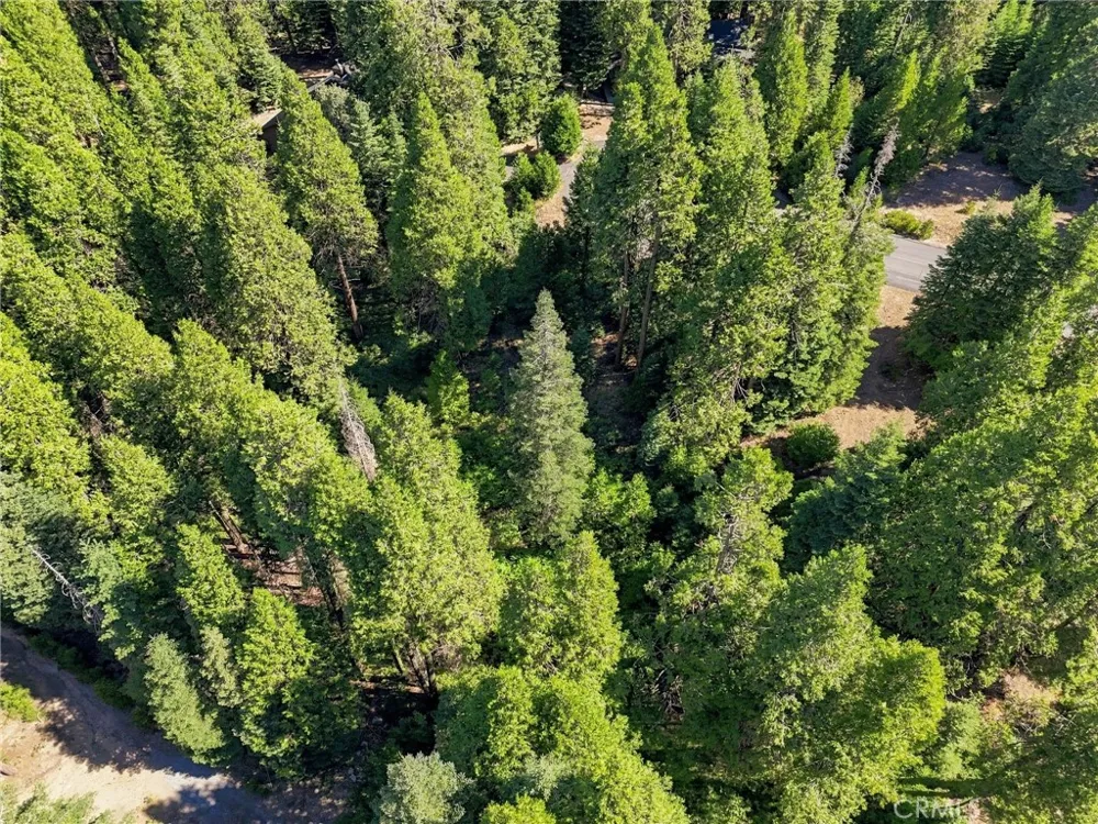 39730 Fox Glove Lane Shaver Lake, CA 93664