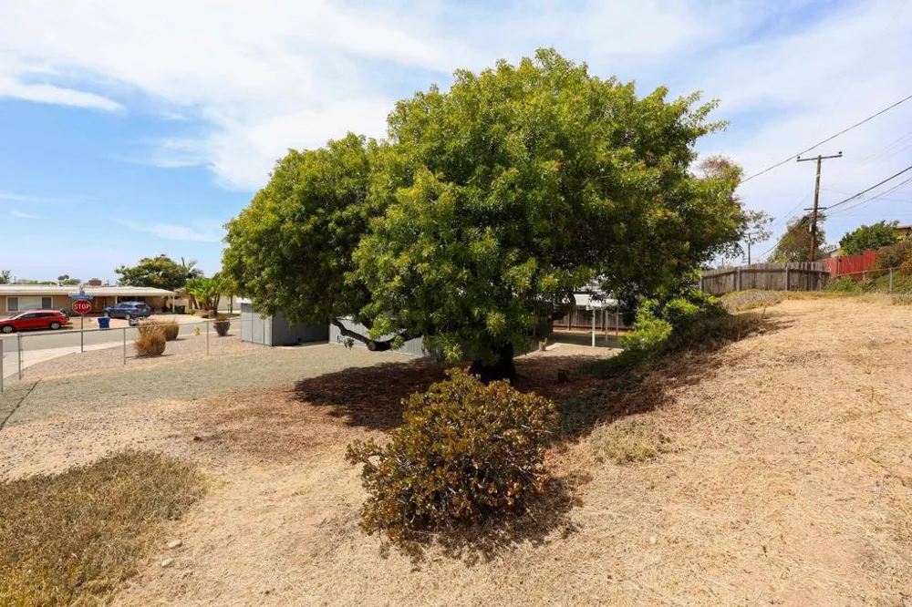 977 Cuyamaca Avenue Chula Vista, CA 91911