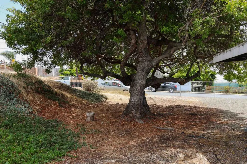 977 Cuyamaca Avenue Chula Vista, CA 91911