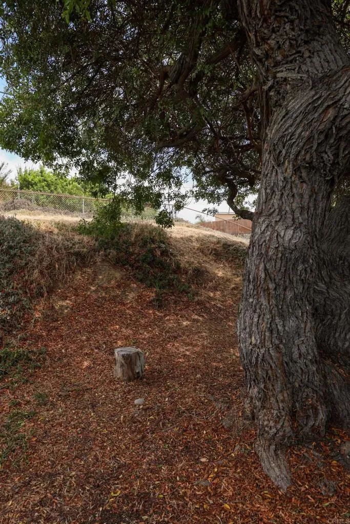 977 Cuyamaca Avenue Chula Vista, CA 91911