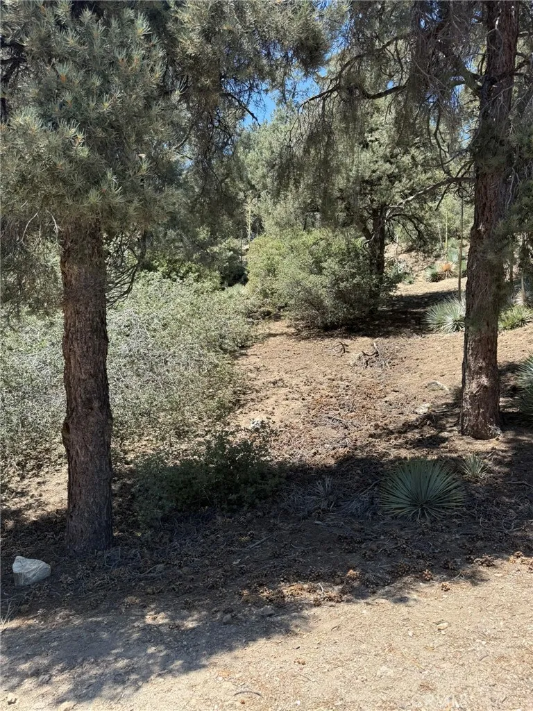 2413 Cedarwood Drive Pine Mountain Club, CA 93222