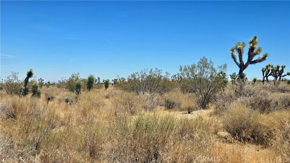 Vicinity Avenue X4 & 231st E Llano, CA 93544