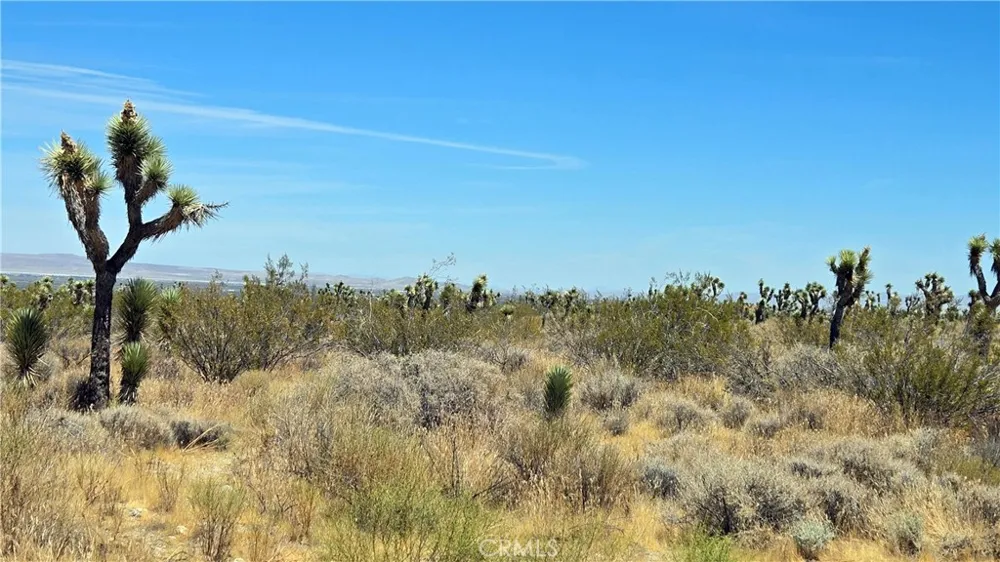 Vicinity Avenue X4 & 231st E Llano, CA 93544