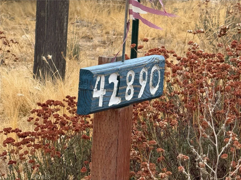 42890 tamatea Anza, CA 92539