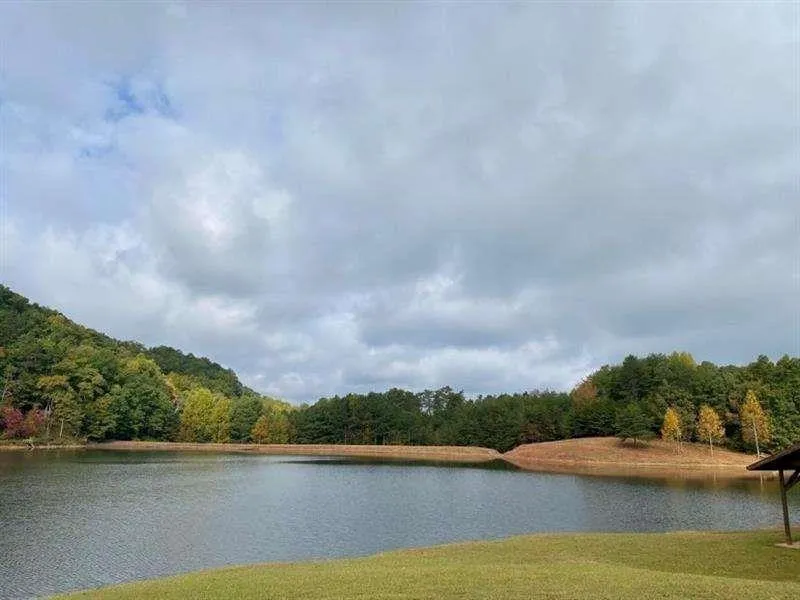 1510 Marie Drive Talking Rock, GA 30175