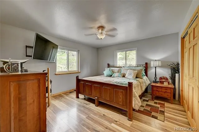 99 Peak Drive Guffey, CO 80820