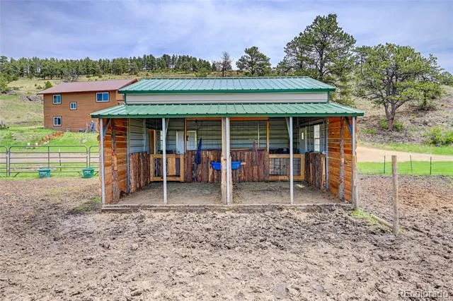 99 Peak Drive Guffey, CO 80820