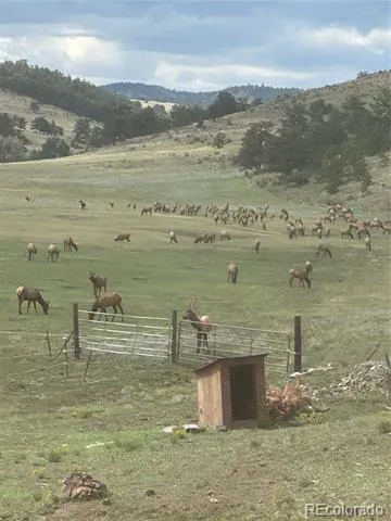 99 Peak Drive Guffey, CO 80820
