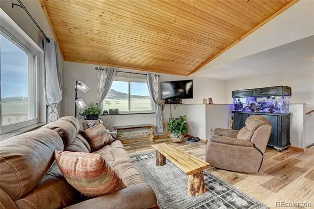 99 Peak Drive Guffey, CO 80820