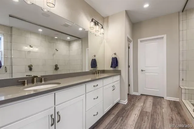5603 Amarosa Drive Parker, CO 80134