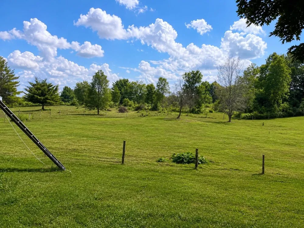 10288 Vans Lane Fife Lake Township, MI 49633