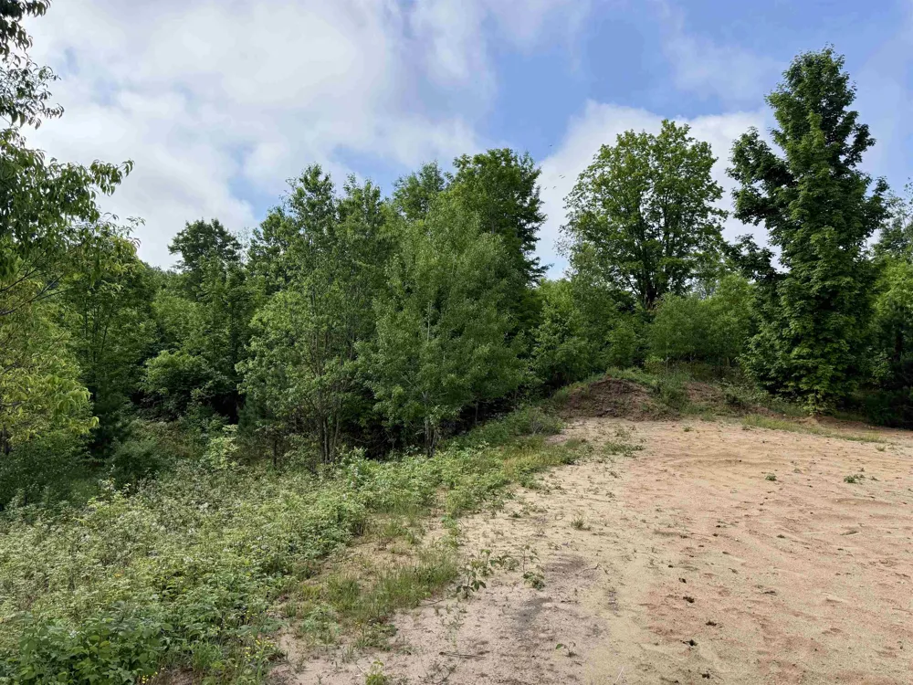 E Kasson Road Kasson Township, MI 49664