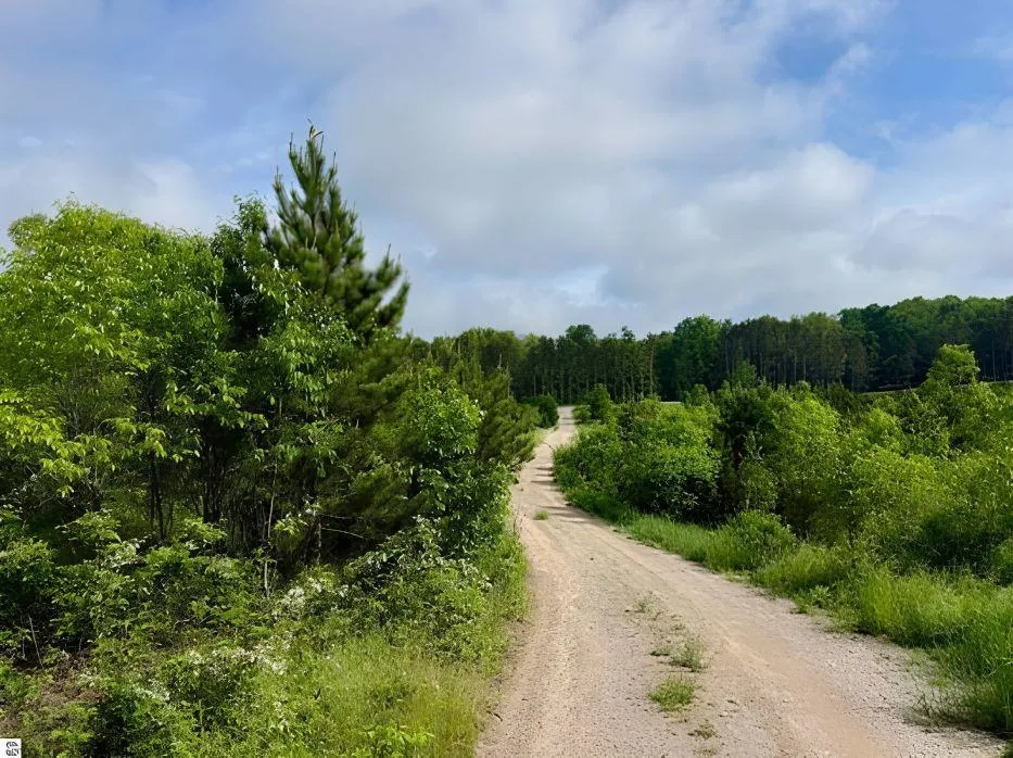 E Kasson Road Kasson Township, MI 49664