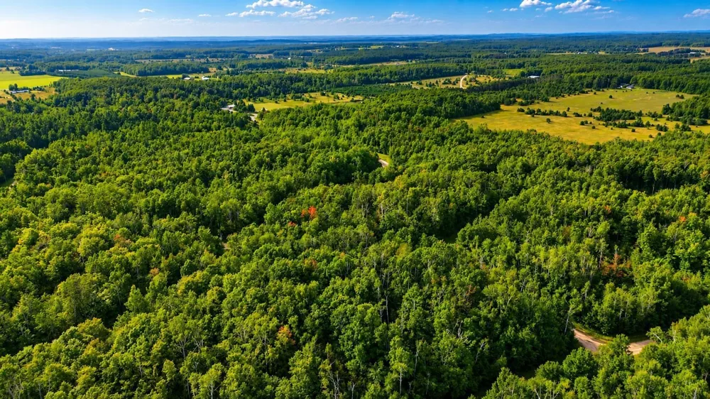 Timberline Drive Star Township, MI 49615