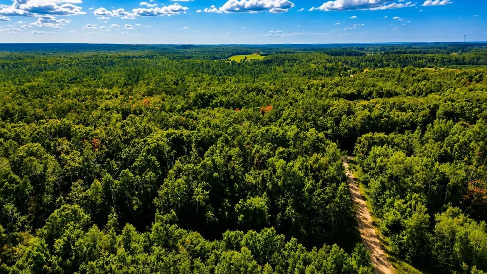 Timberline Drive Star Township, MI 49615