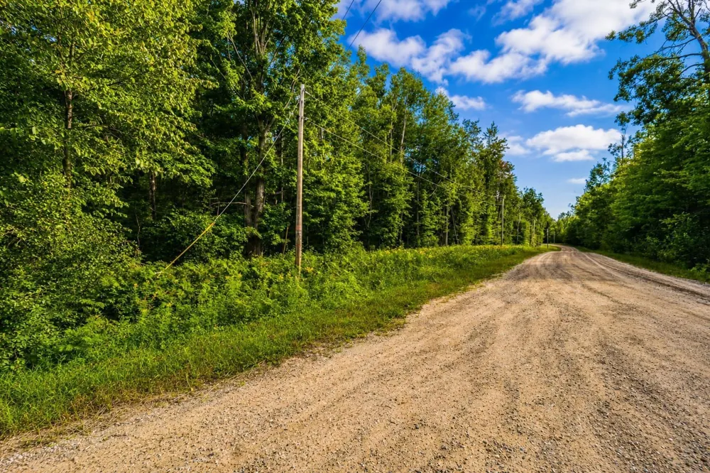 Timberline Drive Star Township, MI 49615