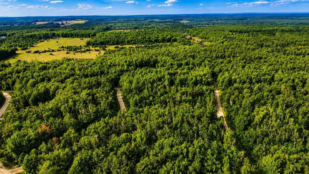 Timberline Drive Star Township, MI 49615