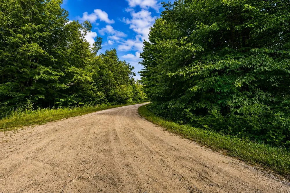 Timberline Drive Star Township, MI 49615