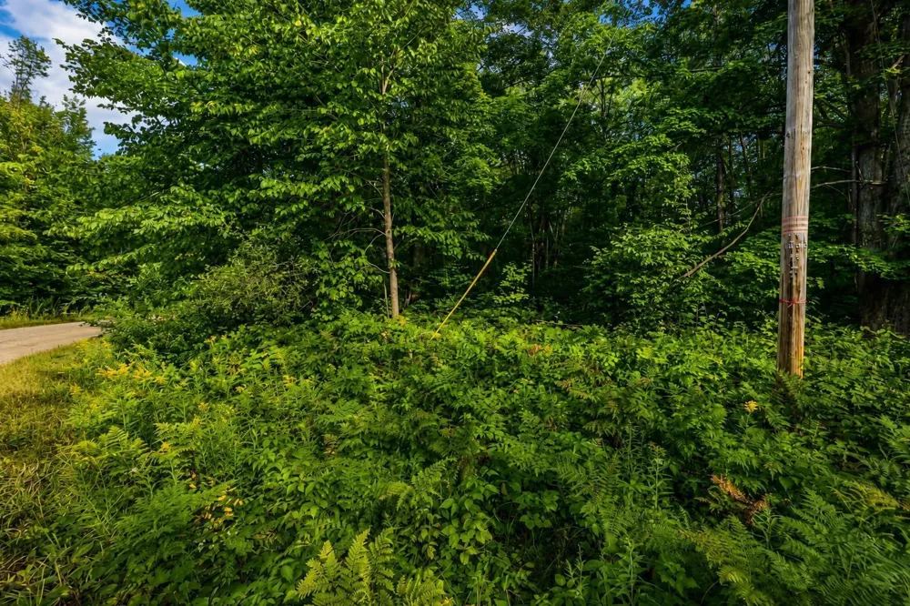 Timberline Drive Star Township, MI 49615