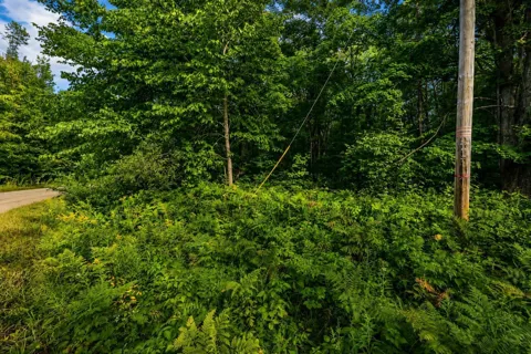 Timberline Drive