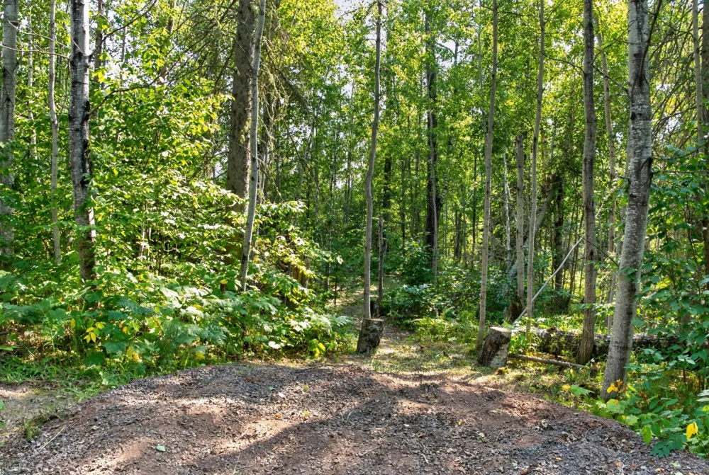 88895 Thunder Bay Road Herbster, WI 54844