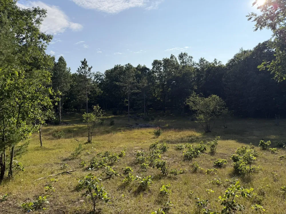 8877 9 Mile Bridge Road Manistee, MI 49660