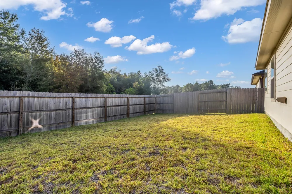 24039 Priano Forest Drive New Caney, TX 77357