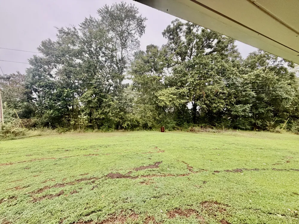 31861 County Road 8 Florence, AL 35634