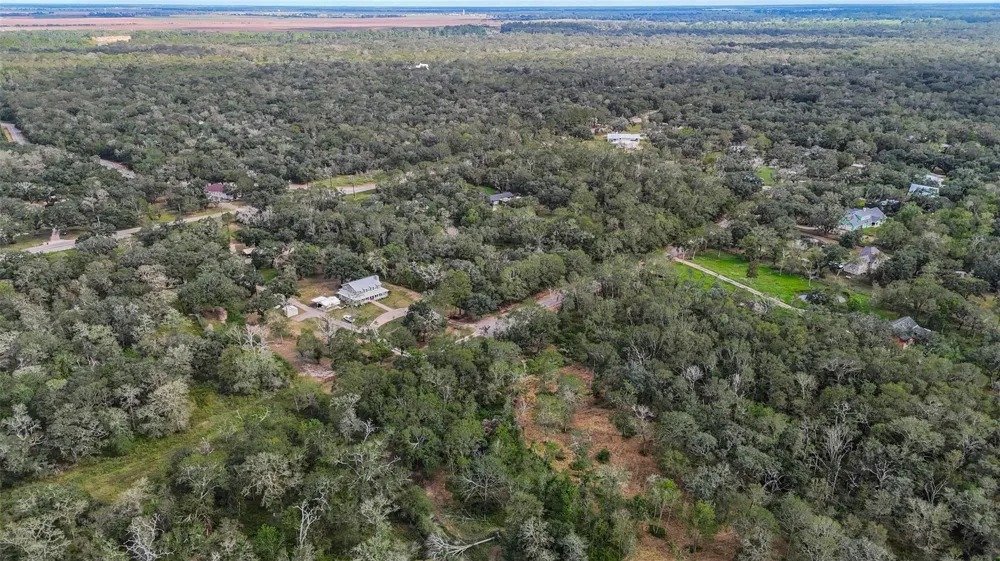 Live Oak St Damon, TX 77430
