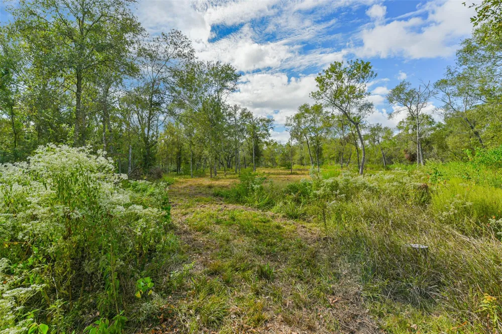 Live Oak St Damon, TX 77430