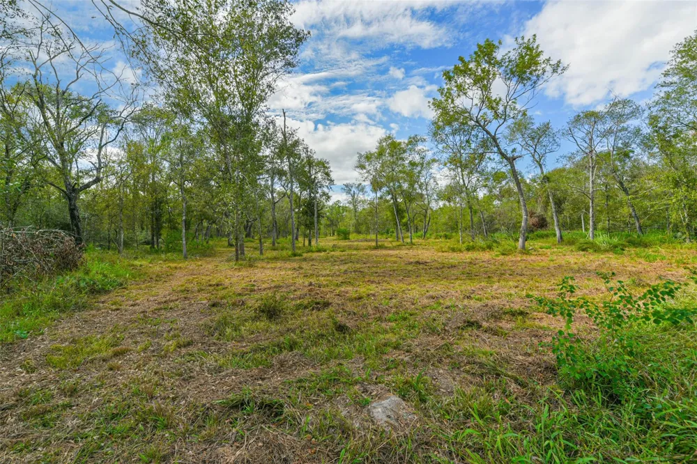 Live Oak St Damon, TX 77430