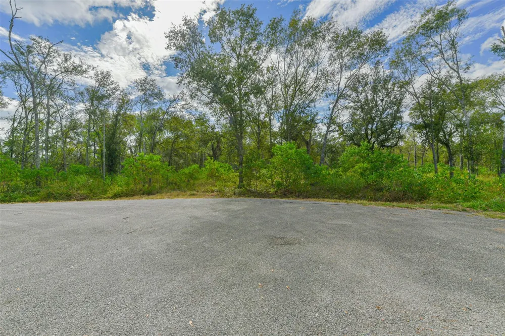 Live Oak St Damon, TX 77430