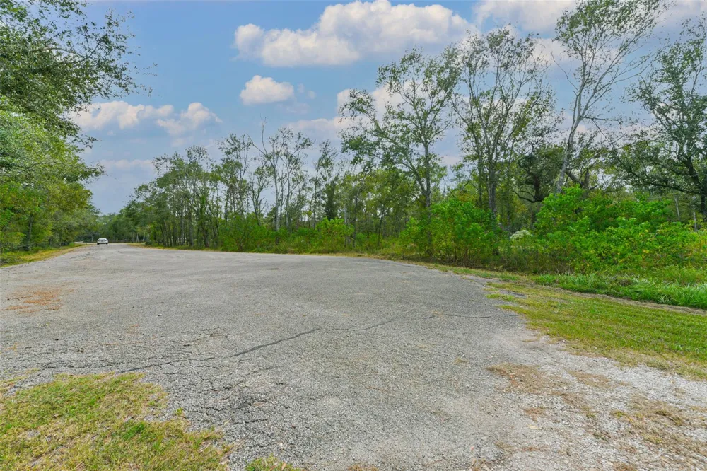 Live Oak St Damon, TX 77430