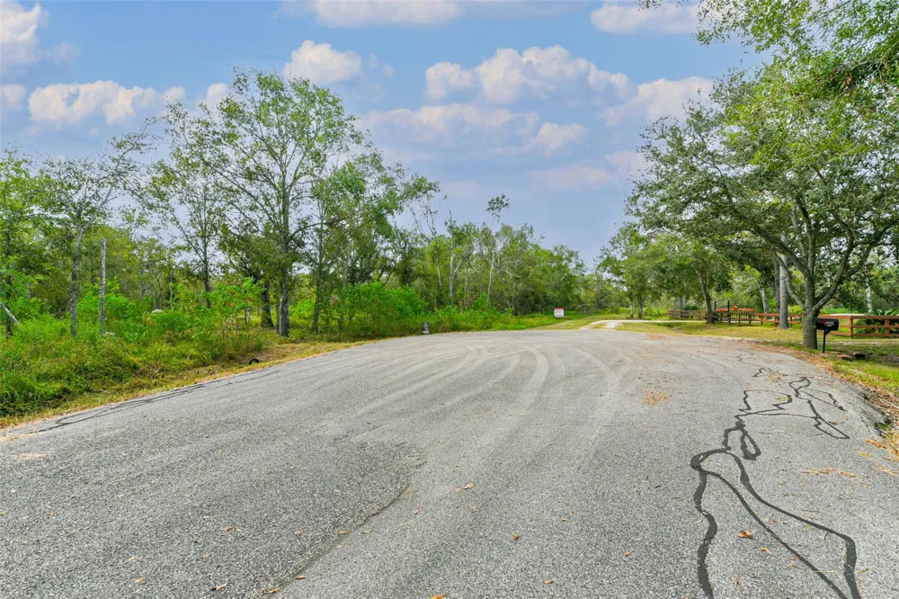 Live Oak St Damon, TX 77430