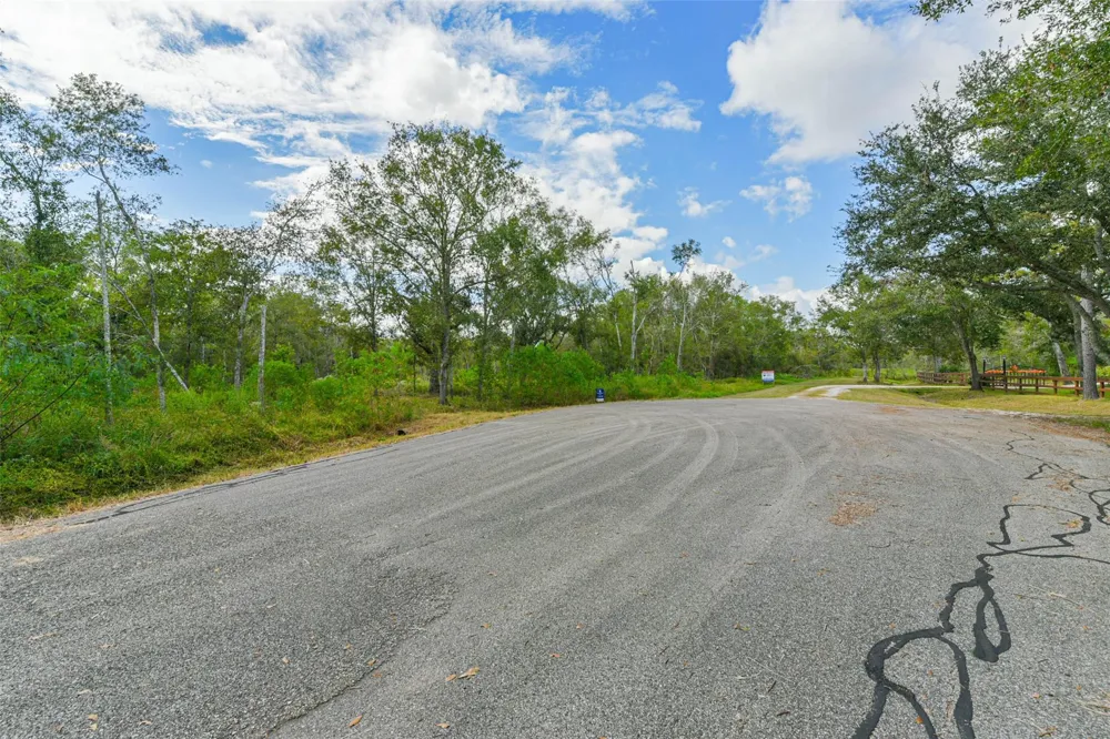 Live Oak St Damon, TX 77430