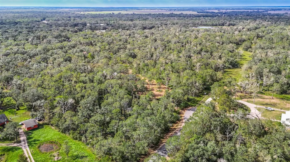 Live Oak St Damon, TX 77430