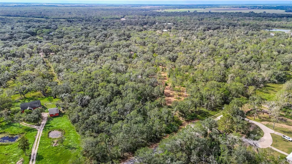 Live Oak St Damon, TX 77430